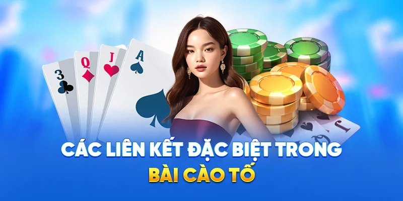 Các liên kết đặc biệt trong bài cào tố